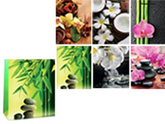 Пакет подарочный бум. EXOTIC FLOWERS, 10*8*4см, 6 диз. TZ 6571