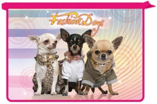 Папка для тетрадей, А4, ПТ-Р115 FASHION DOGS, пластик/ламинат, полноцв.рисунок, на молнии, 2 отдел. арт.8364