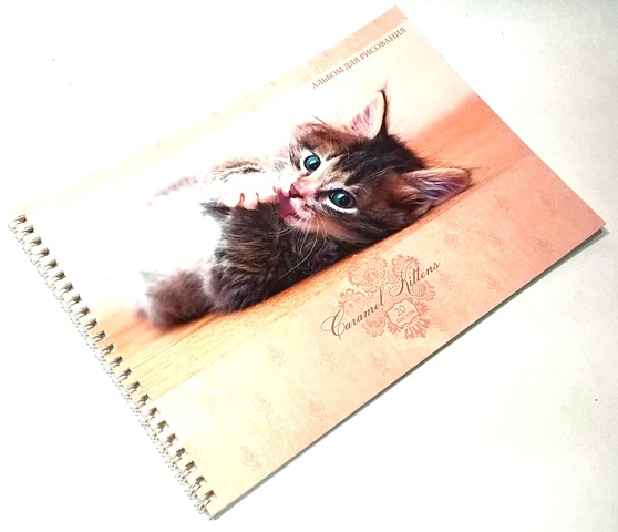 Альбом 20л. гребень "Карамельный котенок" /А-4, вн.блок офсет, 110 г/м2, АС2Л201112 1/15/60