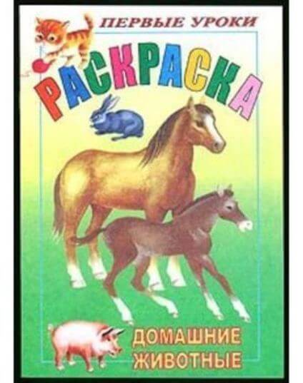 Раскраска А5 Посмотри и раскрась "Домашние птицы" 1-ые уроки 1/100