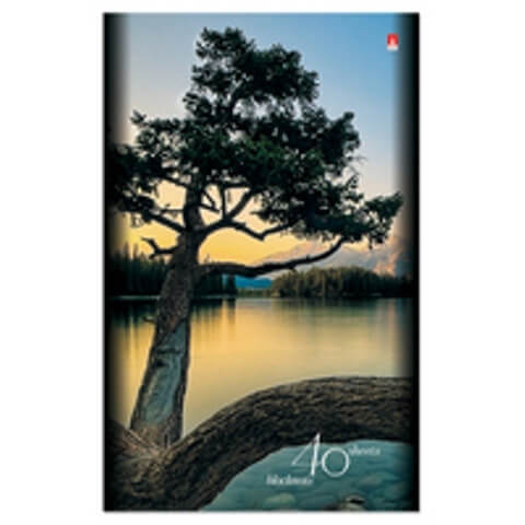 Блокнот А5 40л "Природа" 4 вида 3-40-499 Д 1/50