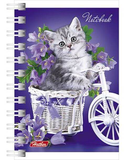 Записная книжка А7 40л гребень "Нежные котята" 40ЗК7B1гр 1/144