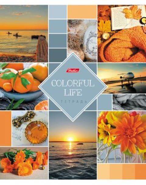 Тетрадь 48л. А5 "Colorful life" 48Т5В1 1/10/100