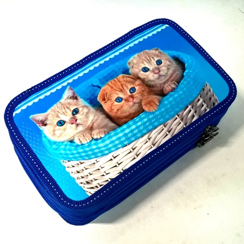 Пенал на 3отд. "Котята в корзинке" лам, объем арт.2631110 31П26/3 1/24