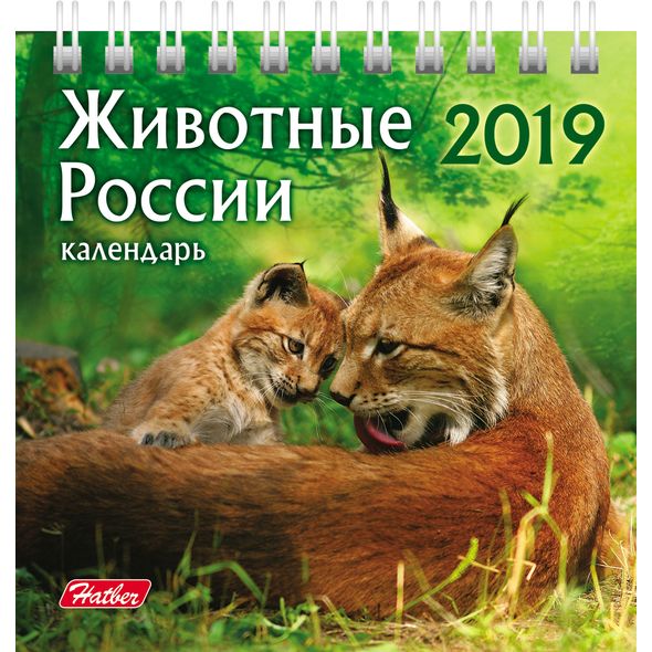 2019 г. Календарь домик "Животные России" 101*101мм на гребне 12КД6гр_12419 1/160