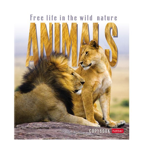 Тетрадь 48л. А5 "Animals" 48Т5В1 1/10/100