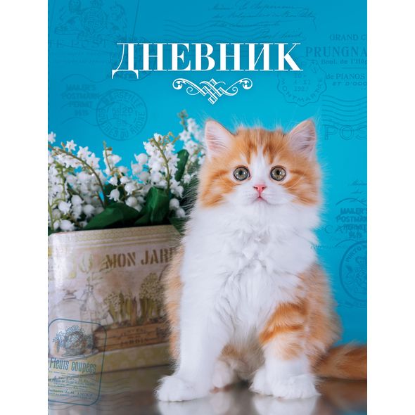 Дневник для 1-11 кл "Котик" 40л 7БЦ 40ДТ5B_18008 1/28