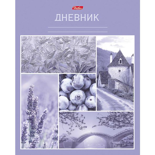 Дневник для 1-11 кл "Цветные грезы" тиснение 40Д5тВ_18146 1/50