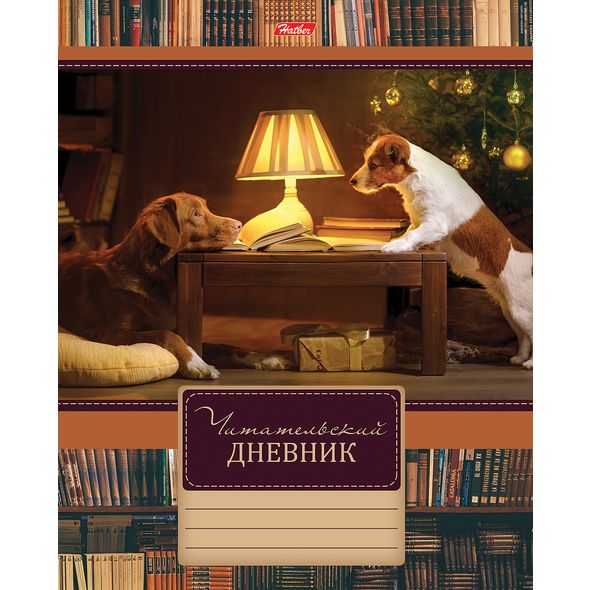 Читательский дневник А5 -Путешествие друзей- 48л. 48Дч5В5_18482 1/40