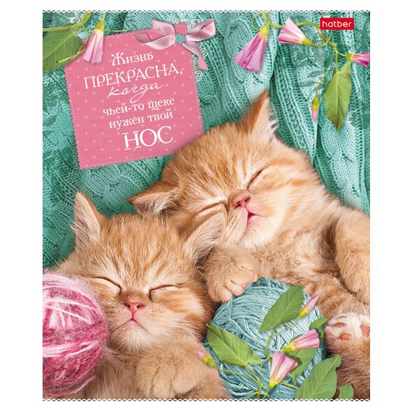 Тетрадь 40л. А5 "Без кота-жизнь не та" асс. 40Т5В1 1/12/12/120