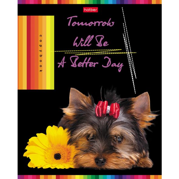 Тетрадь 48л. А5 "Better day" 48Т5В1 1/10/100