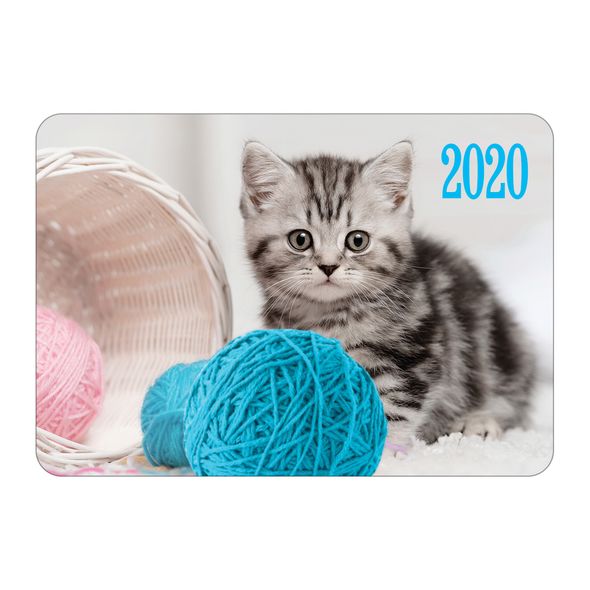 2020 г. Календарь карманный "Котята" асс 1/72