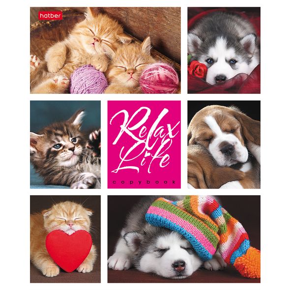 Тетрадь 24л., А5, клетка "Relax Life" 24Т5B1 1/180
