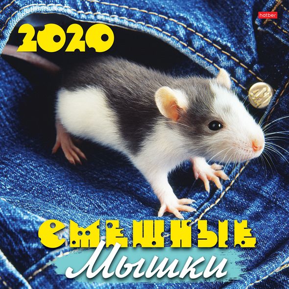 2020 г. Календарь настенный 30х30см 6л. на скобе-Знак Года- (Смешные мышки)