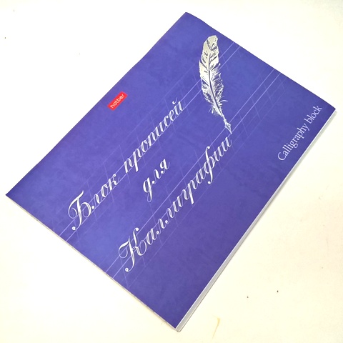 Тетрадь Прописей для Каллиграфии и Леттеринга А5 -Искусство писать- 48л. 48Тп5лВ5_22380