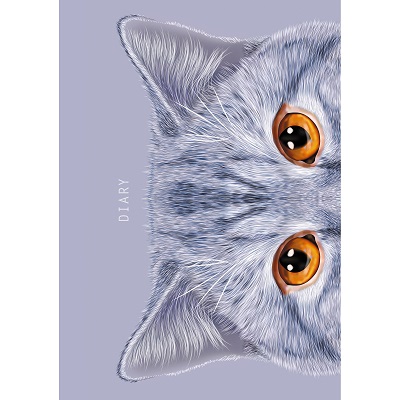 Ежедневник А6 лайт "Милая мордашка. Кот" 128л. мат. ламин. ЕЖИ20512806