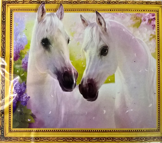Алмазная мозаика 5D "ПАРА", 40*50см LT0493