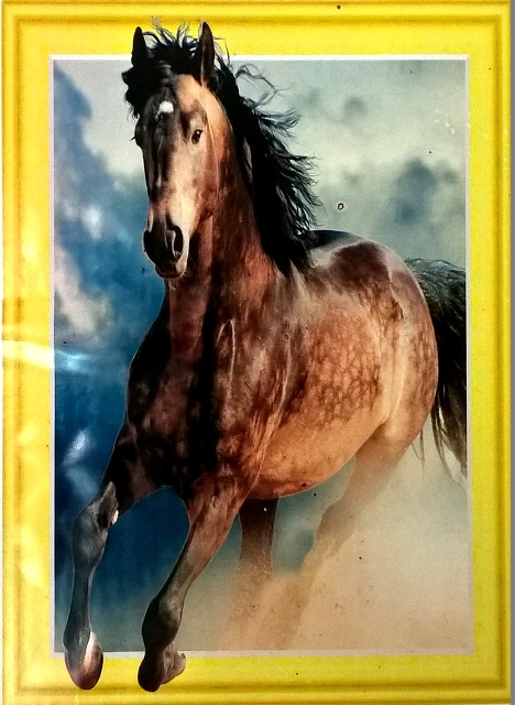 Алмазная мозаика 5D 40*50см СКАКУН арт.LT0541