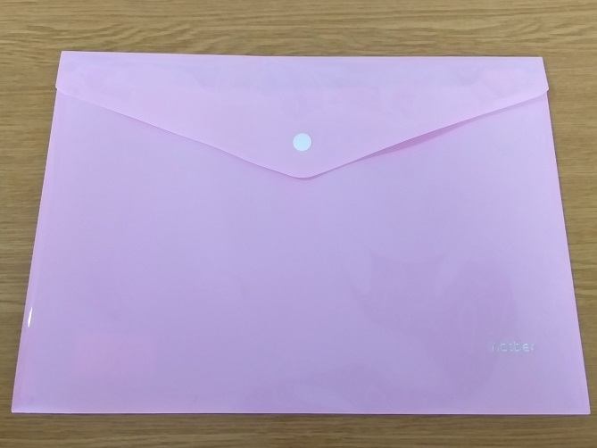 Папка на кнопке А4 180мкм PASTEL ПИОН AKk4_05018 1/10