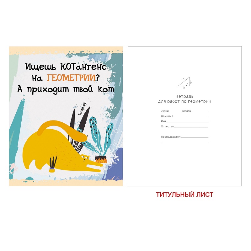 Тетрадь предметная 48л ГЕОМЕТРИЯ -Тетрадь кота- ТТ486787