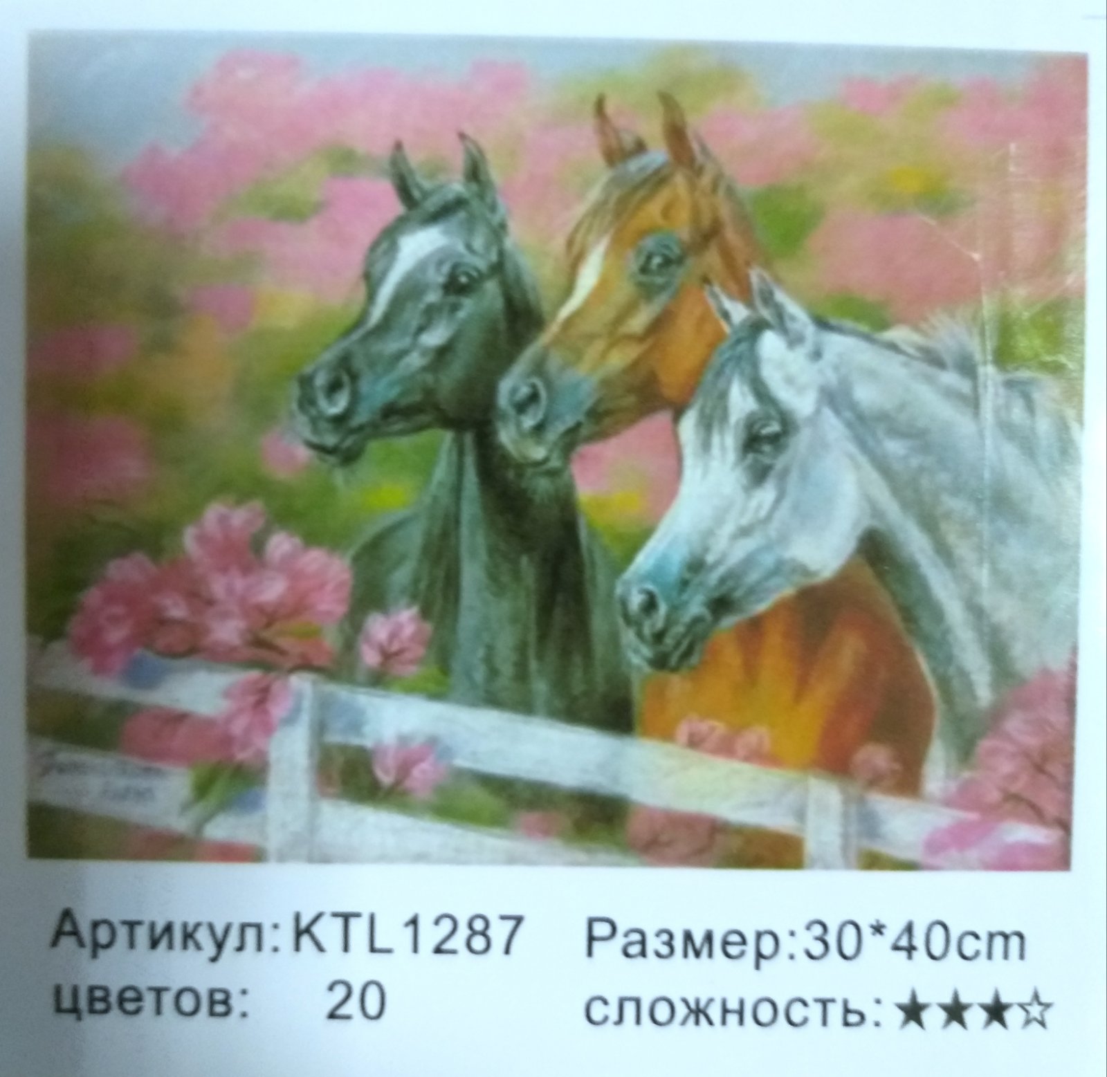 Картина 30х40 см, ЗА ОКОЛИЦЕЙ для раскрашивания по номерам KTL1287