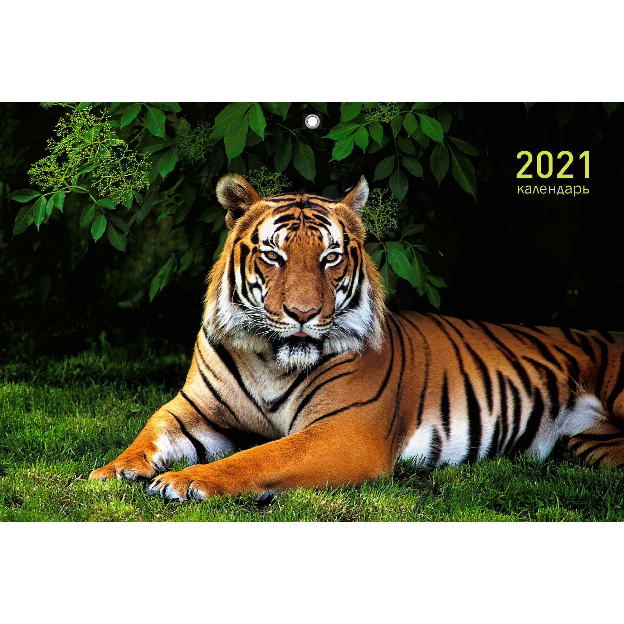 2021г. Календарь кварт. 3-х. бл. "Дикие животные" 305*680мм евроспираль ККТ2110