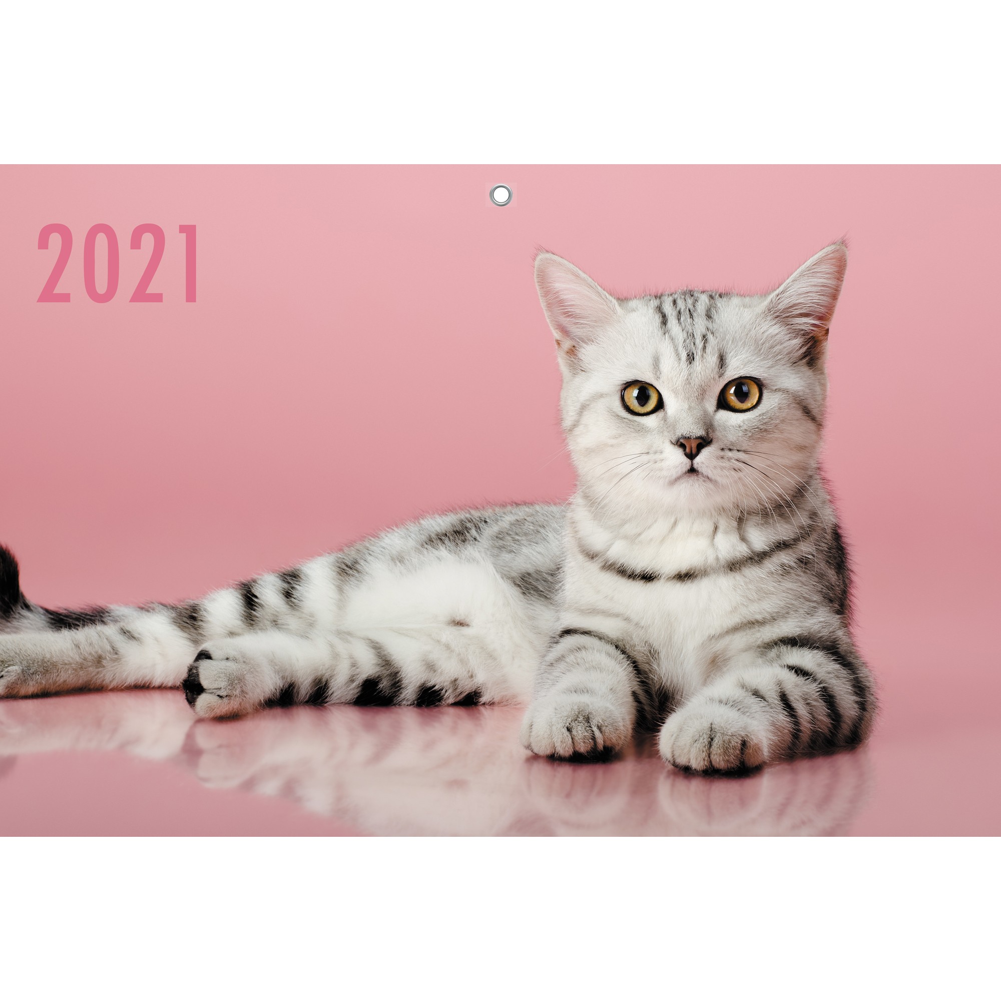 2021г. Календарь кварт. 3-х. бл. "Домашние любимцы. Дизайн 1" 305*680мм евроспираль ККТ2108