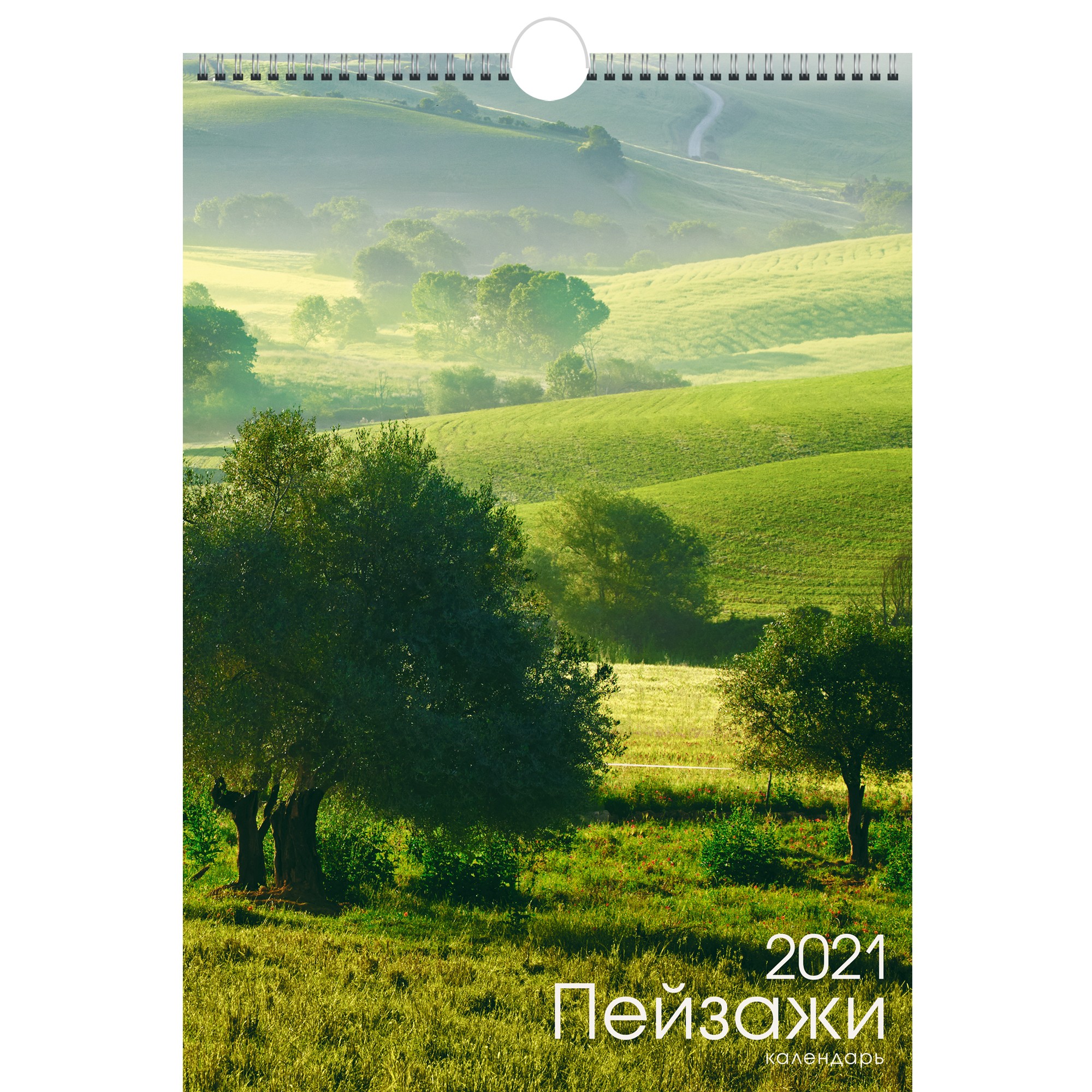 2021г. Календарь "Природа. Дизайн 3" настенный 6л. гребень 230*330мм КПВМ2108