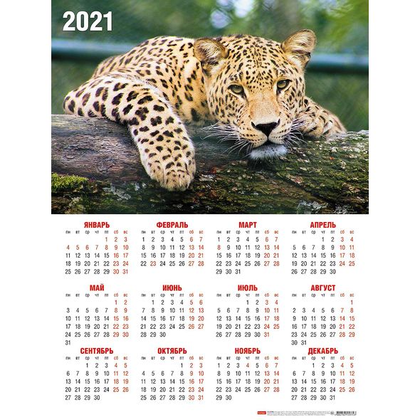 2021 г. Календарь настенный А2 листовой -Леопард- Кл2_23629 1/15
