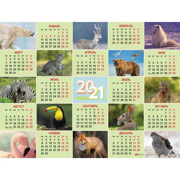 2021 г. Календарь настенный А2 листовой -Животные Кл2_23683 1/15