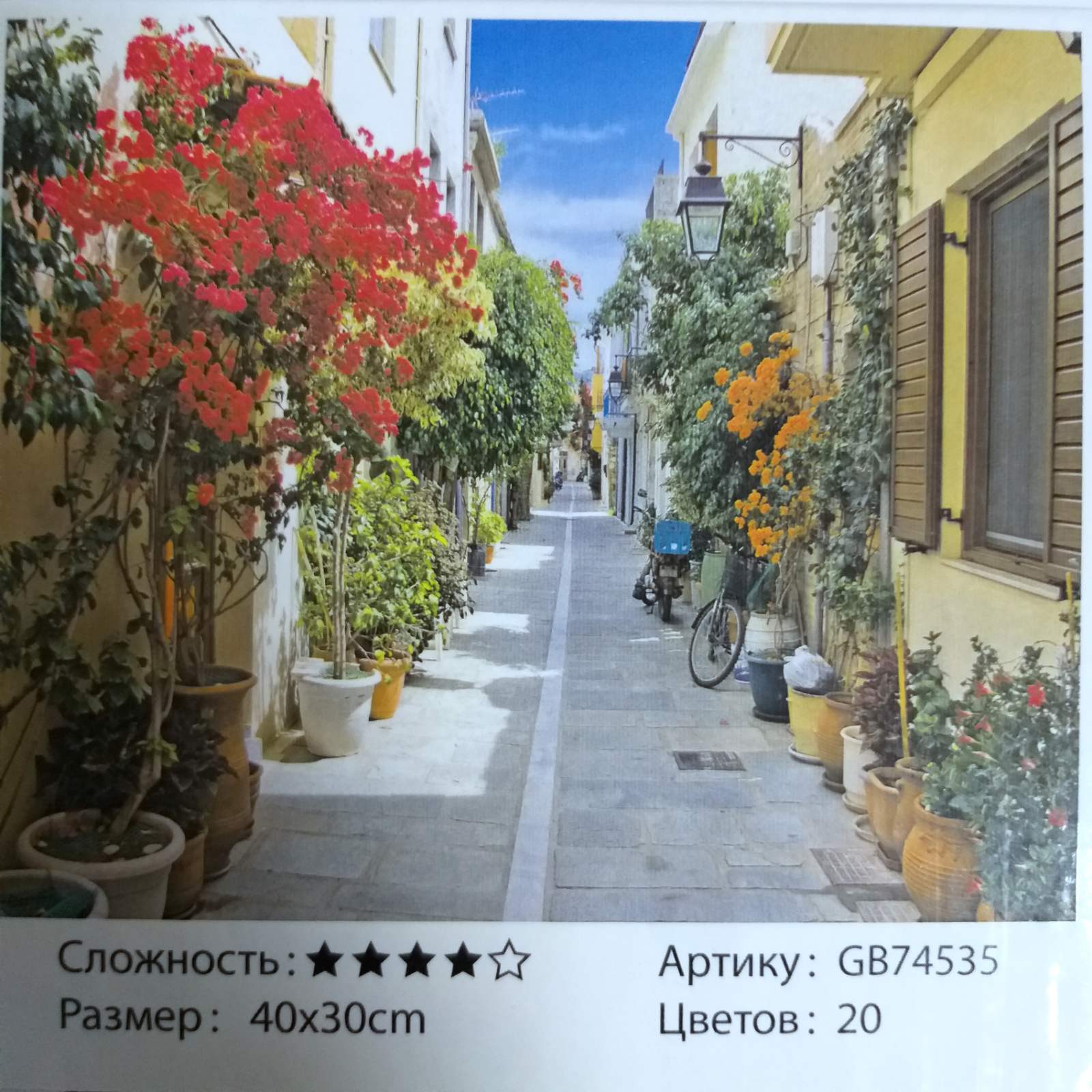Алмазная мозаика 30*40см УЛОЧКА арт.GB74535