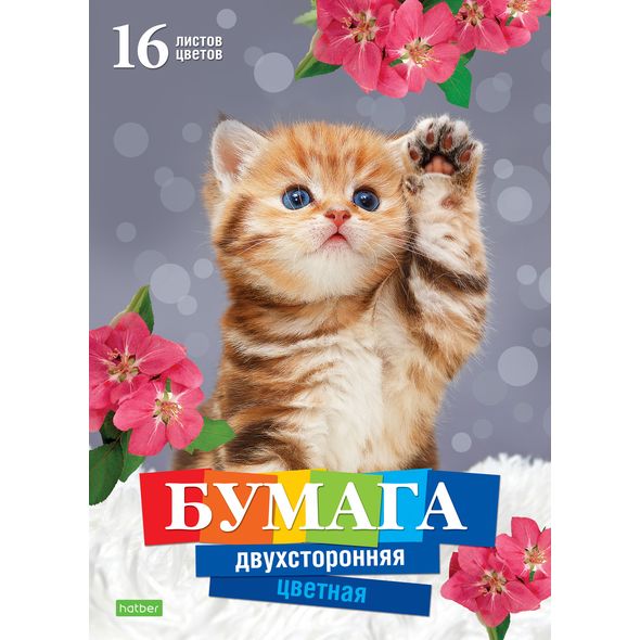 Бумага цв, А4 16л. 16цв. двухст. "Котенок" 16Бц4_20982