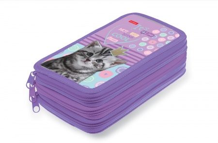 Пенал на 3 отд. -Cool kitty- 190х110мм на молнии NPn_15026