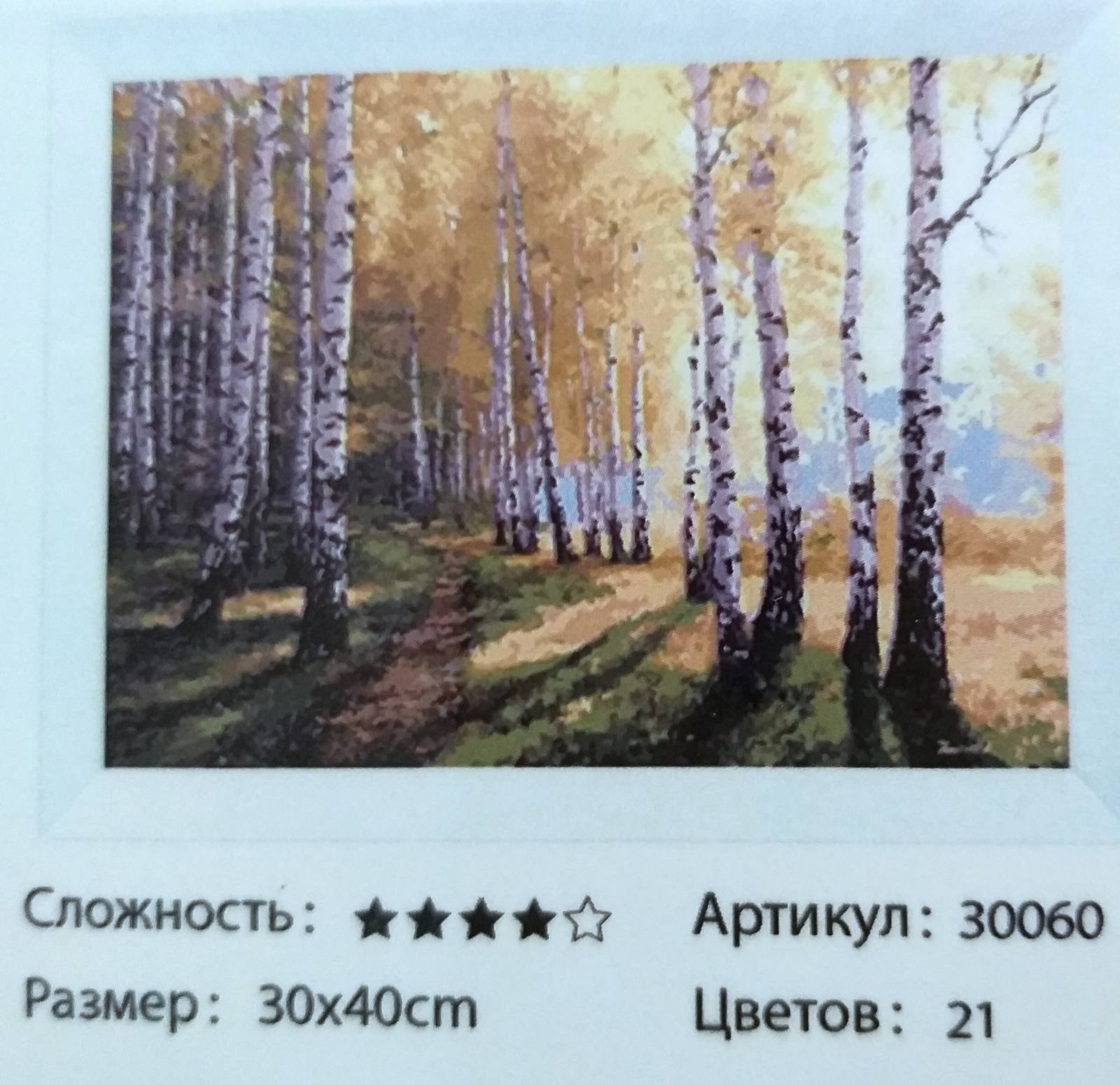 Картина 30х40 см, БЕРЕЗОВАЯ АЛЛЕЯ для раскрашивания по номерам 30060