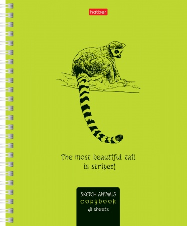 Тетрадь 48л. А5 гребень "Drawing animals" клетка 48Т5B1гр