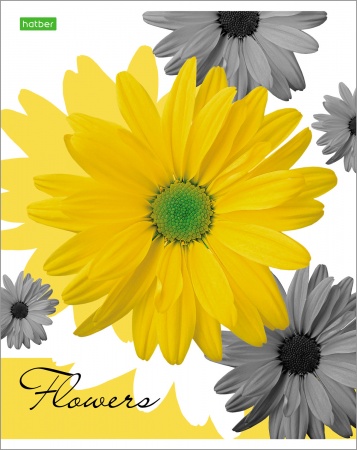 Тетрадь 96л "Flower" клетка 96Т5С1 " 1/56
