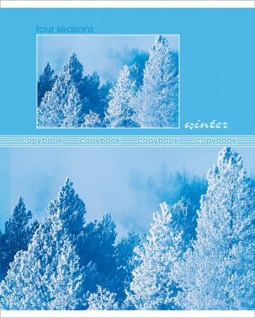Тетрадь 48л. А5 "Seasons" клетка Обложка Хром-эрзац 48Т5D1 1/10/100