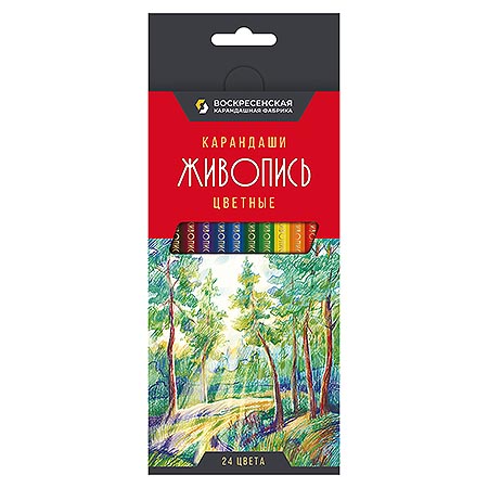 Карандаши 24цв. "Живопись" ВКФ JIV-CP-1024