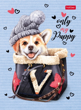 Бизнес-блокнот А6 64л 7БЦ "Fashion dog-Корги" кл/лин 64ББ6В5_26375