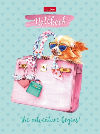 Бизнес-блокнот А6 64л 7БЦ "Fashion dog-чихуахуа" кл/лин 64ББ6В5_26374