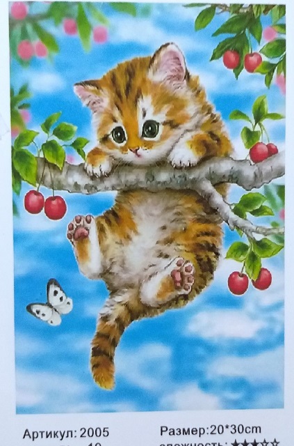 Алмазная мозаика 20*30см КОТЁНОК НА ВЕТКЕ арт.МС-5457/2005