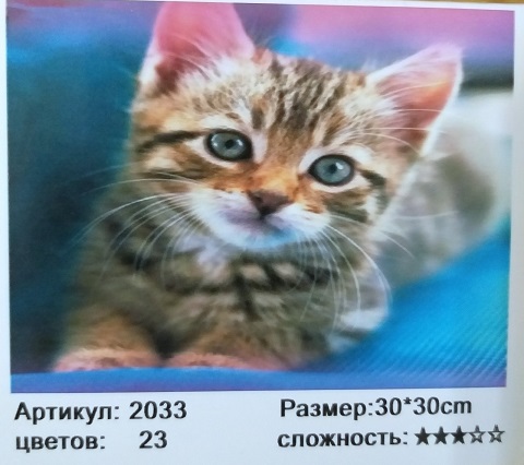Алмазная мозаика 30*30см КОТЁНОК арт.МС-5458/2033