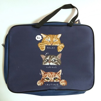 Папка А4 "CAT EXPRESSION", с ручками ткань MY-14353