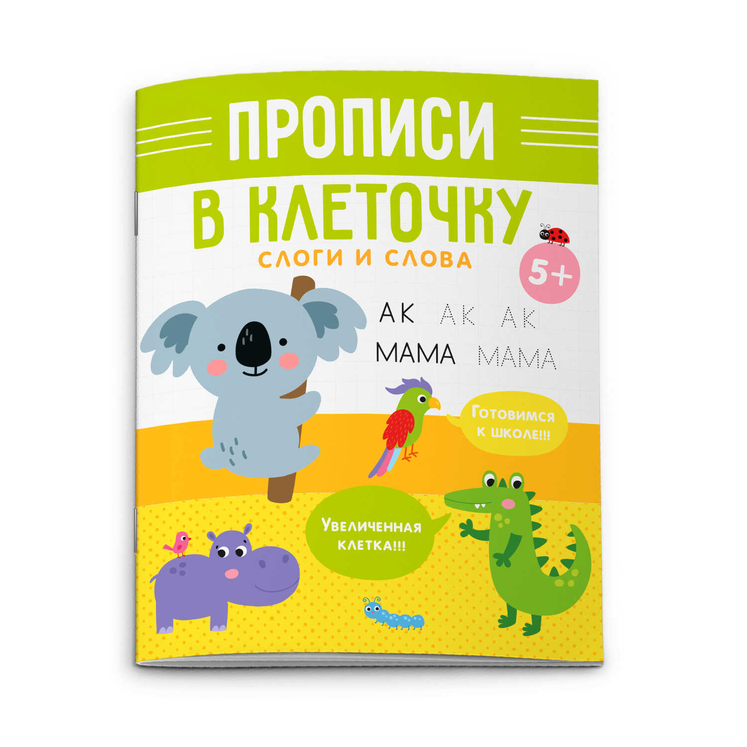 Прописи А5 Серия "Прописи в клеточку" СЛОГИ И СЛОВА 6л 53106