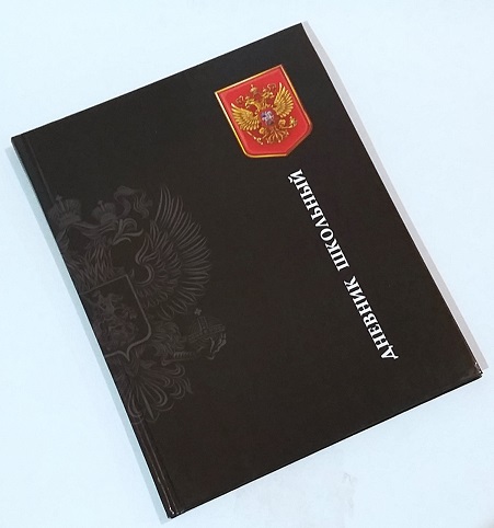 Дневник шк. Россия 2 7БЦ М-16781 1/30