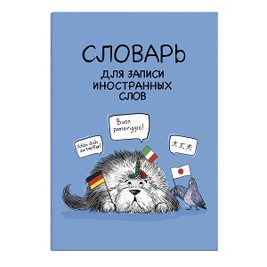 Словарь  д/записи иностран.слов 24л. А5  ИНОСТРАНЦЫ  линия   63381