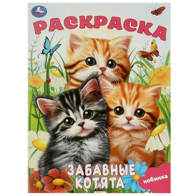 Раскраска А4 "Забавные котята" 16стр. 978-5-506-09245-2