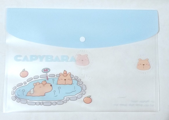 Папка на кнопке А4 "КАПИБАРА" пластиковая Q-808 1/12