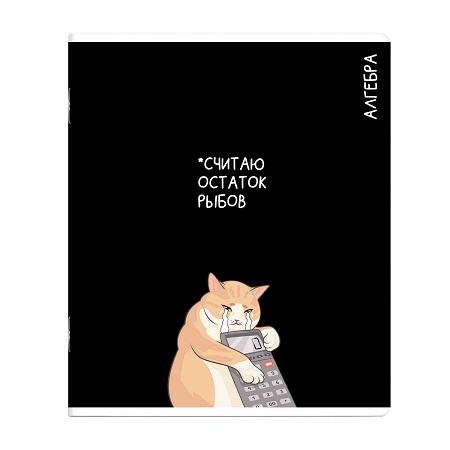 Тетрадь предметная 48л АЛГЕБРА «КОТЫ МЕМЫ» выборочный ТВИН УФ-лак 69820 1/16/48
