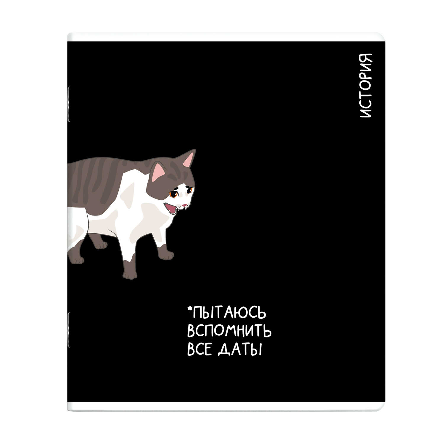 Тетрадь предметная 48л ИСТОРИЯ «КОТЫ МЕМЫ» выборочный ТВИН УФ-лак 69823 1/16/48
